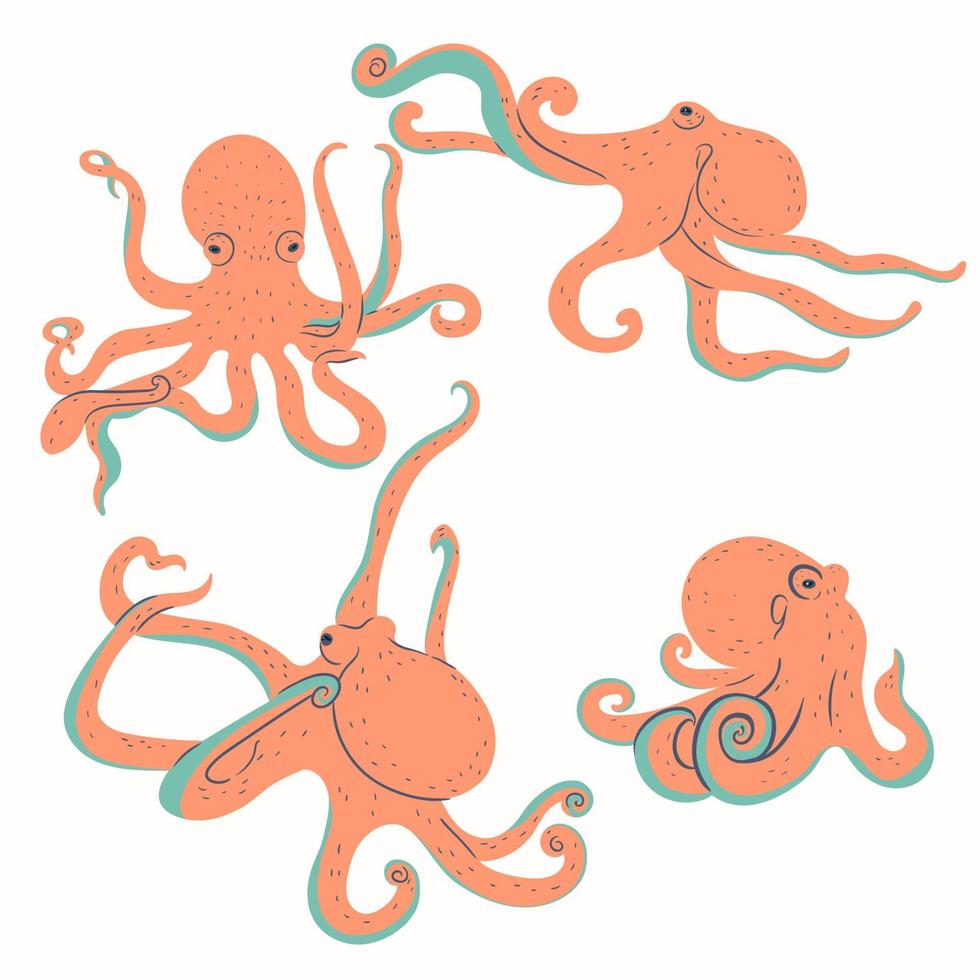 Set of octopuses isolated on white background. Vector graphics