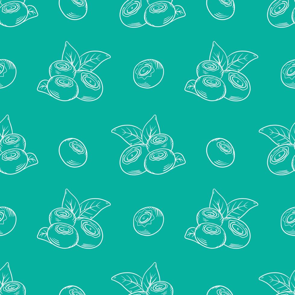 Vector pattern with blueberries. Blueberry berries with twigs of leaves in a hand-drawn style. A sketch with a black line, a collection of berries on a green background. Botanical illustration