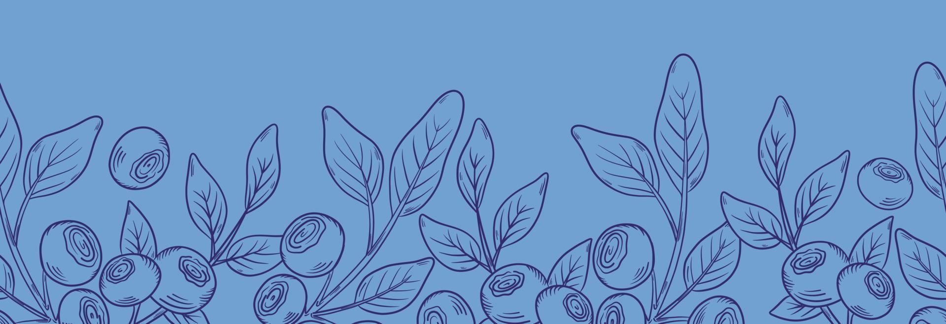 Vector seamless border with blueberries. Blueberry berries with twigs of leaves in a hand-drawn style. Botanical illustration with berries, black line sketch