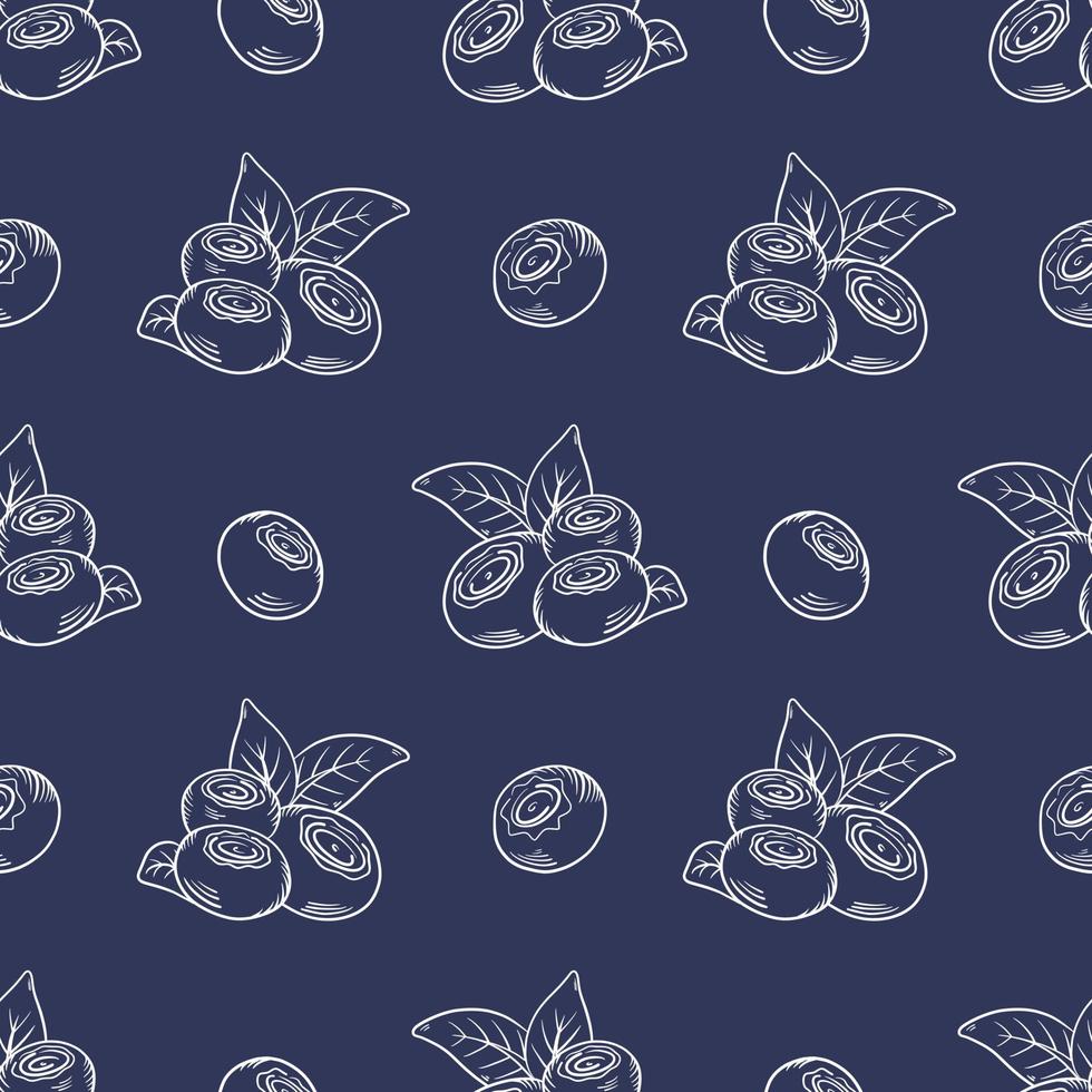 Vector pattern with blueberries. Blueberry berries with twigs of leaves in a hand-drawn style. A sketch with a black line, a collection of berries on a dark background. Botanical illustration