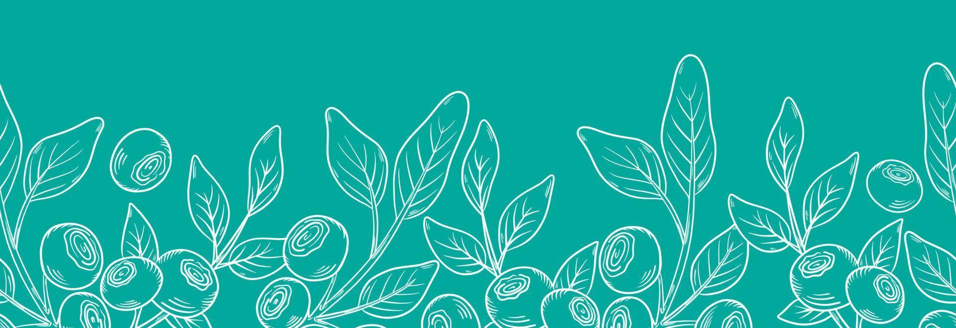 Vector seamless border with blueberries. Blueberry berries with twigs of leaves in a hand-drawn style. Botanical illustration with berries, black line sketch