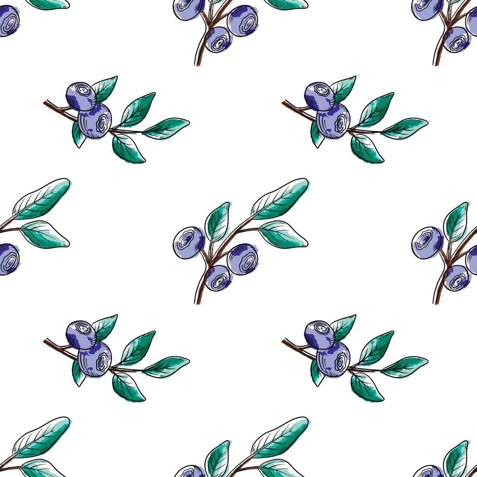 Vector watercolor pattern with blueberries. Blueberry berries with twigs of leaves in a hand-drawn style. Botanical illustration with berries, black line sketch