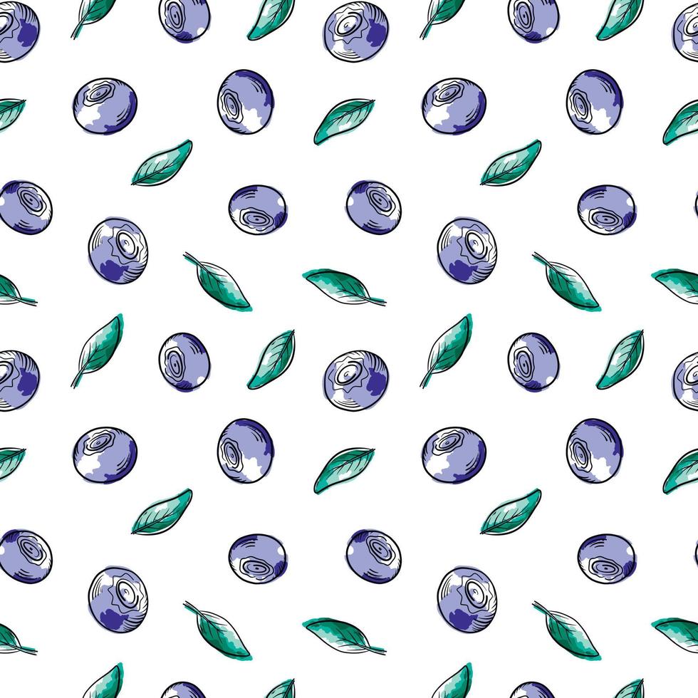 Vector watercolor pattern with blueberries. Blueberry berries with twigs of leaves in a hand-drawn style. Botanical illustration with berries, black line sketch