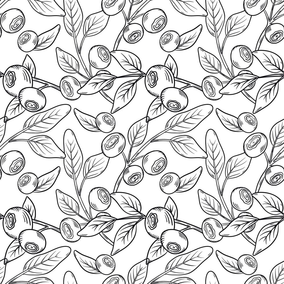 Vector pattern with blueberries. Blueberry berries with twigs of leaves in a hand-drawn style. A sketch with a black line, a collection of berries on a white background. Botanical illustration