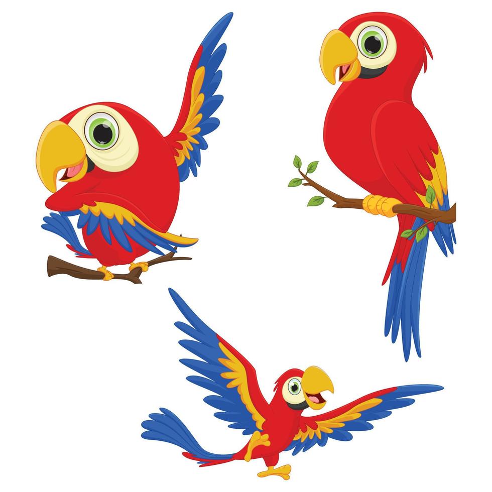 cute macaw bird cartoon set. vector illustration