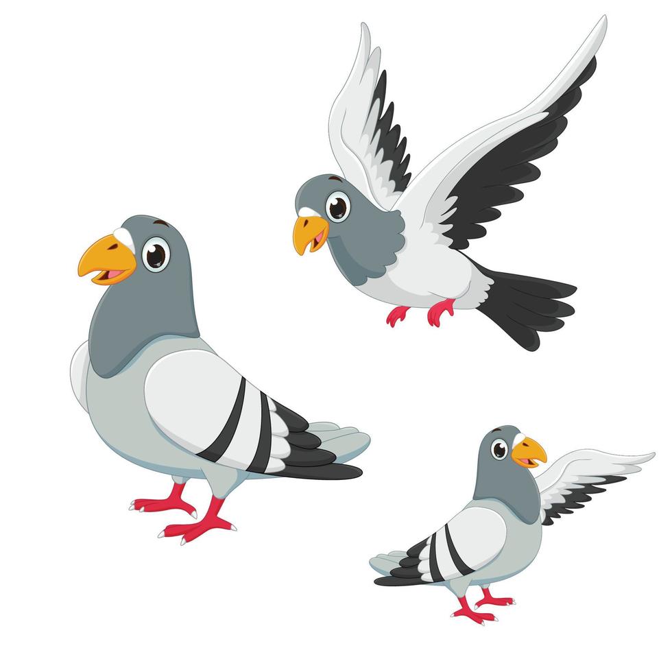 conjunto de colección de dibujos animados de palomas. ilustración vectorial vector