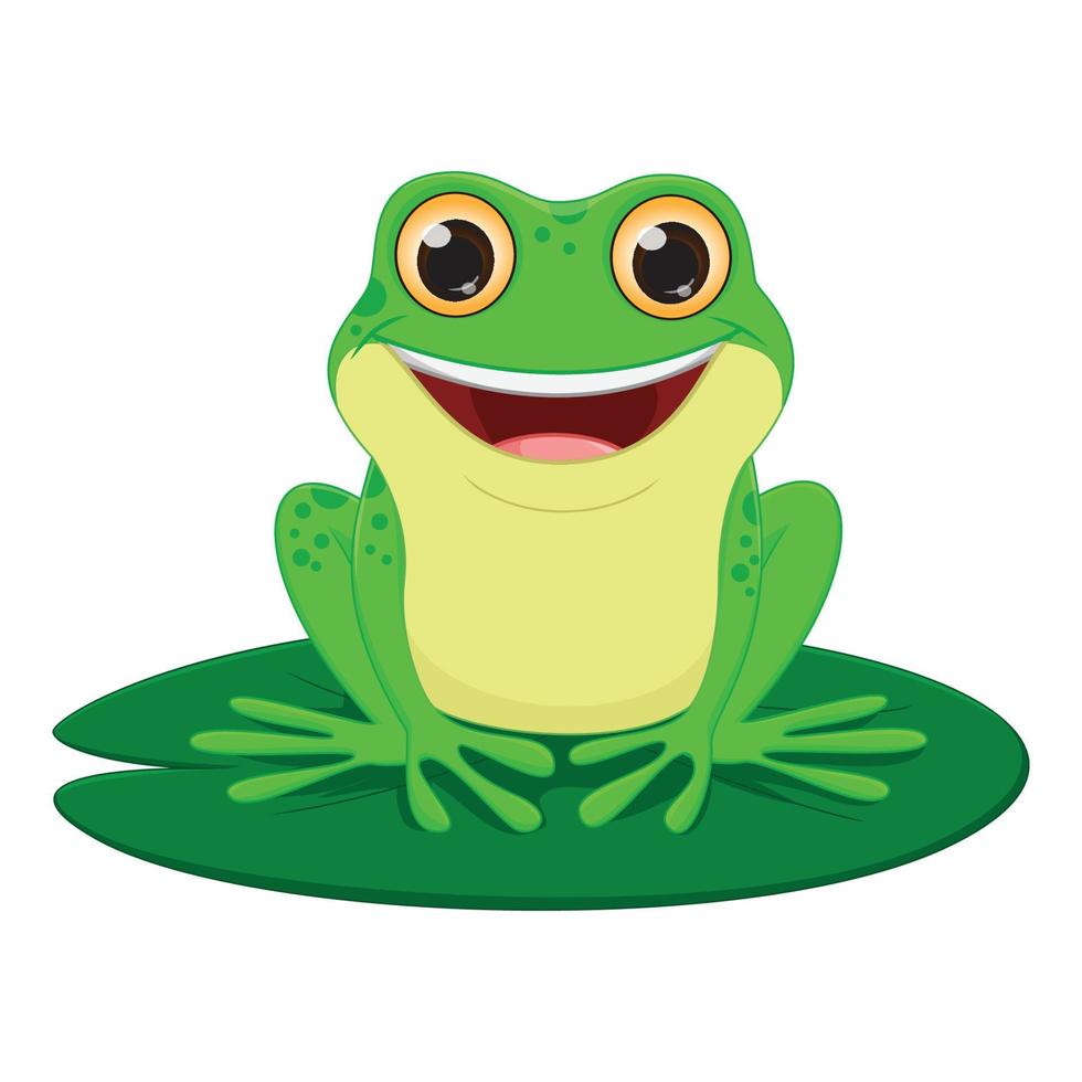 cute frog cartoon. vector illustration