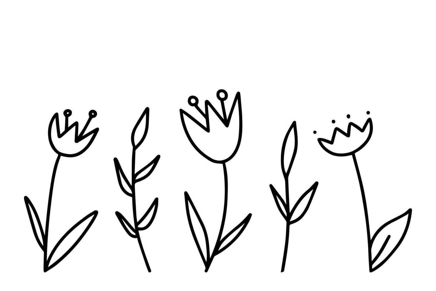 Doodle tulipanes contorno negro sobre un fondo blanco. flor del bosque de plantas. vector