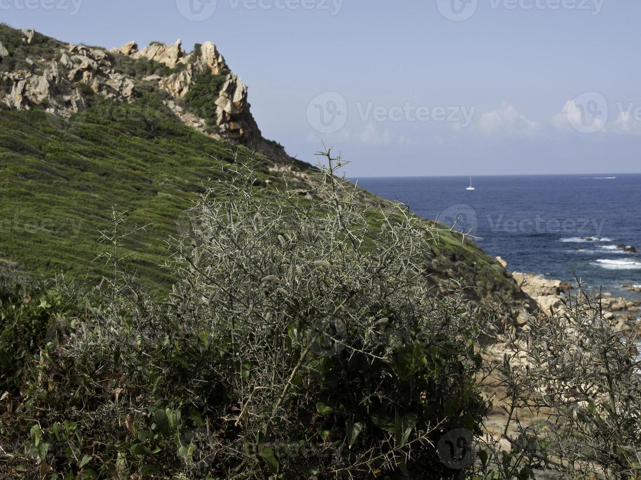 the island corsica photo