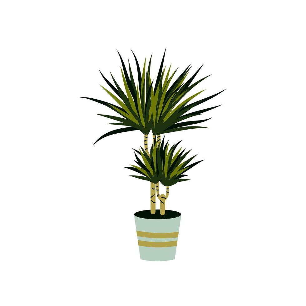 ilustración vectorial de una dracaena aislada en blanco. planta casera en una maceta. elemento de diseño de interiores. vector