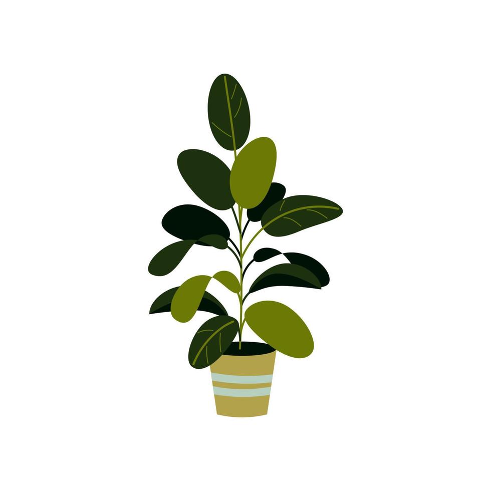 Vector illustration of a ficus isolated on white. Home plant in a pot. Interior design element.