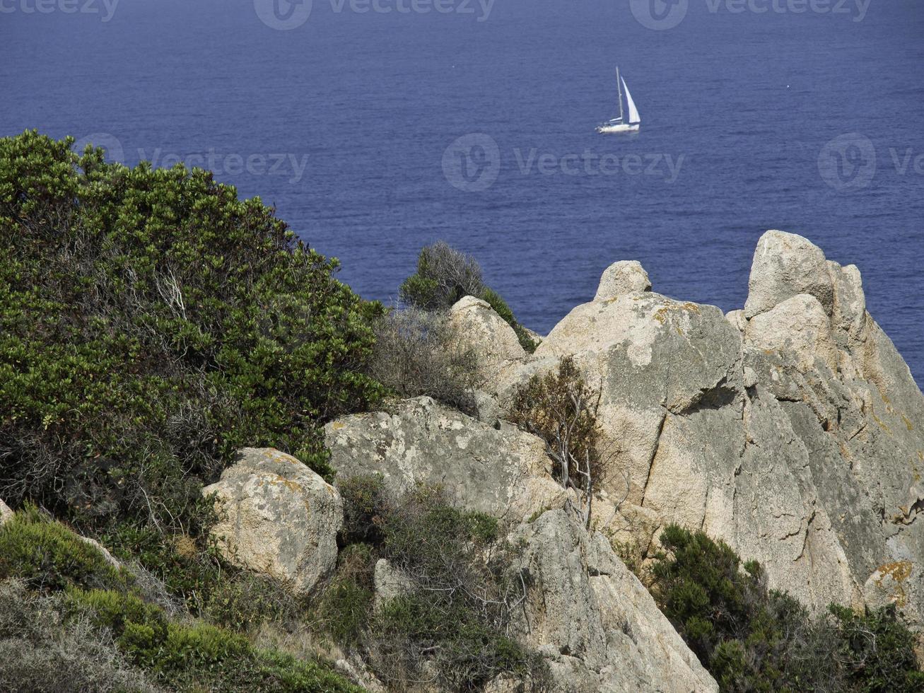 the island corsica photo