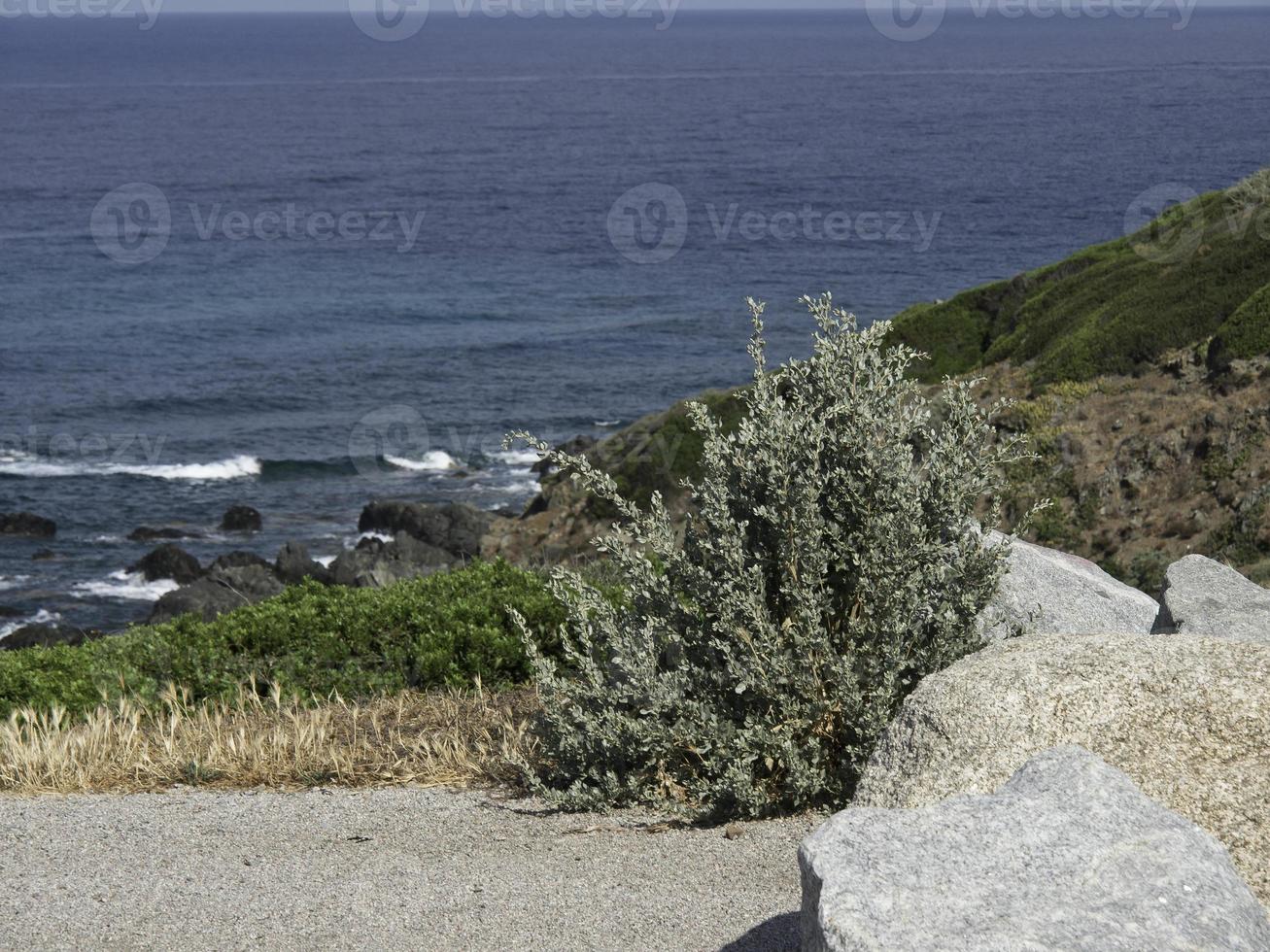 corsica island in france photo