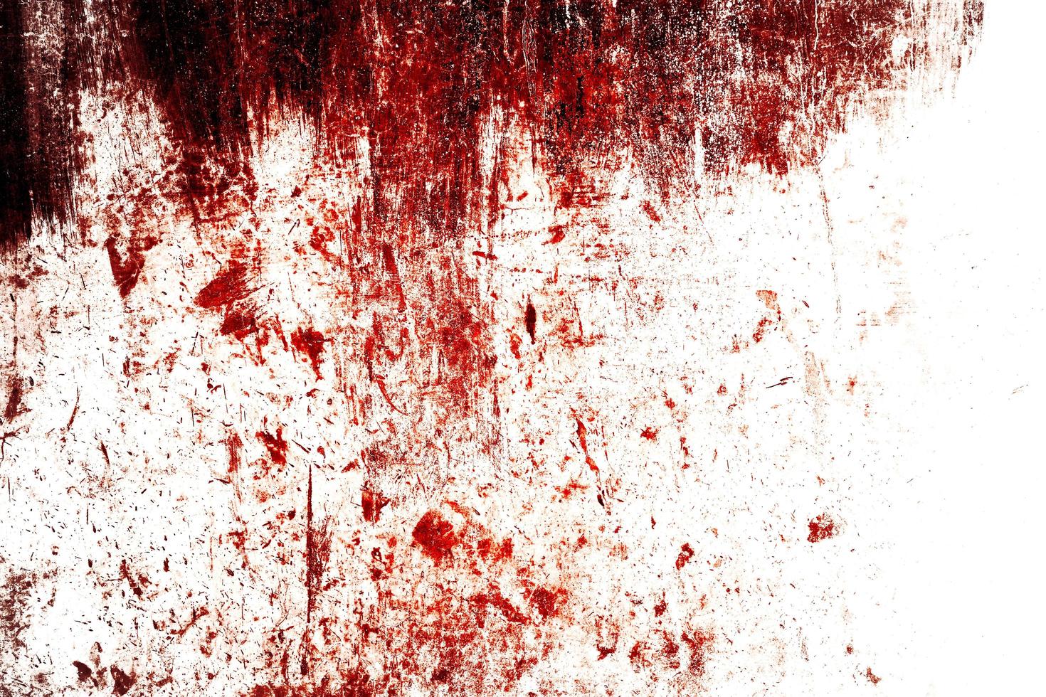 Scary bloody wall. white wall with blood splatter for halloween background. photo