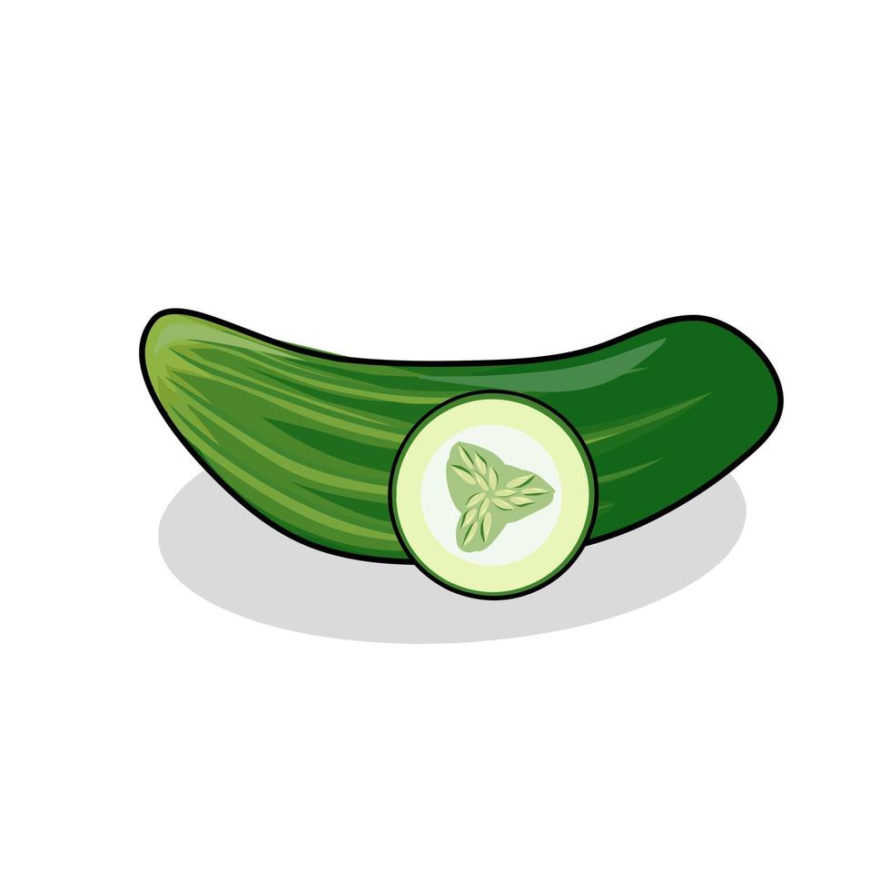 Cucumber fruit illustration image. Cucumber fruit icon, fruits vector