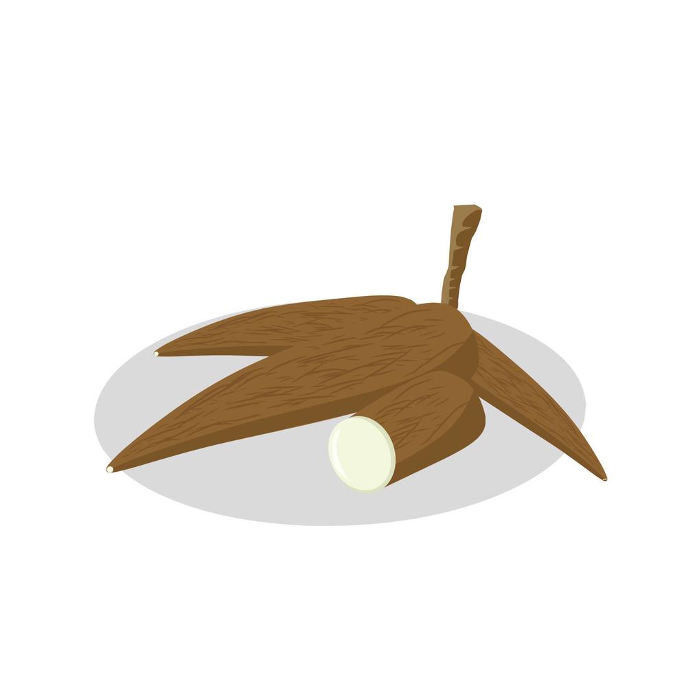 Illustration of cassava fruit. Cassava fruit icon. Fruits vector