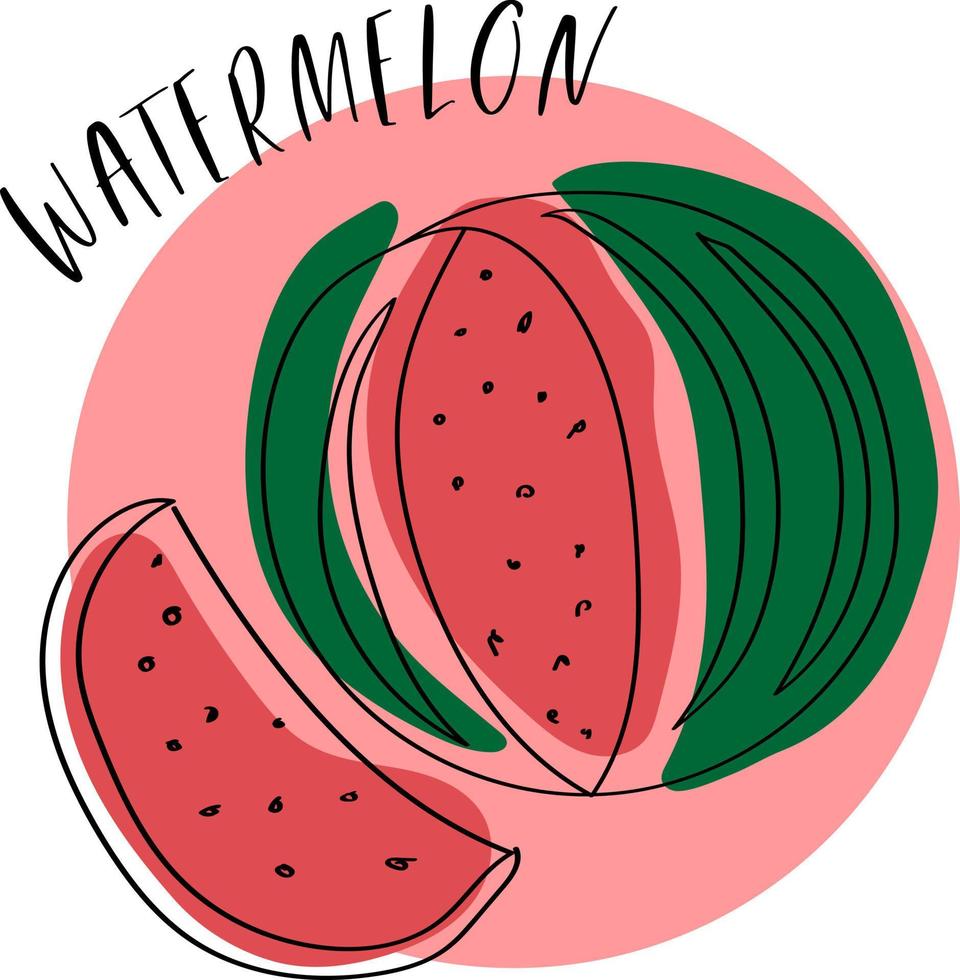 Ripe and colorful watermelon in trendy doodle style vector