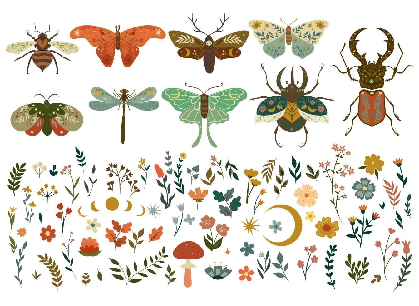 insectos y elementos de flora en estilo boho aislado sobre fondo blanco. gráficos vectoriales vector