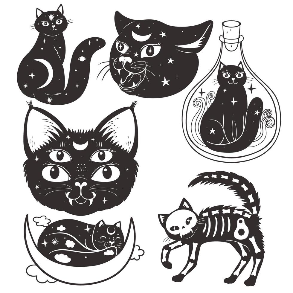 conjunto de gatos esotéricos aislados en un fondo blanco. gráficos vectoriales vector