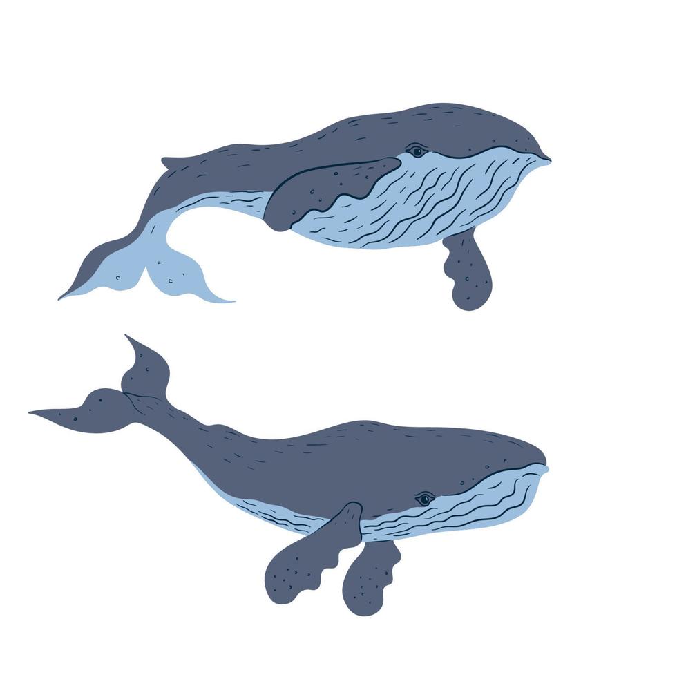 Set of whales isolated on white background. Vector graphics