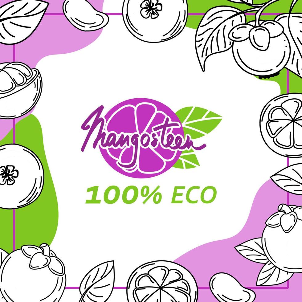 The mangosteen template is drawn with elements of a sketch-style doodle. Whole mangosteen, parts, leaves, slices, core. Collection of fruit images. Vector illustration with space for text
