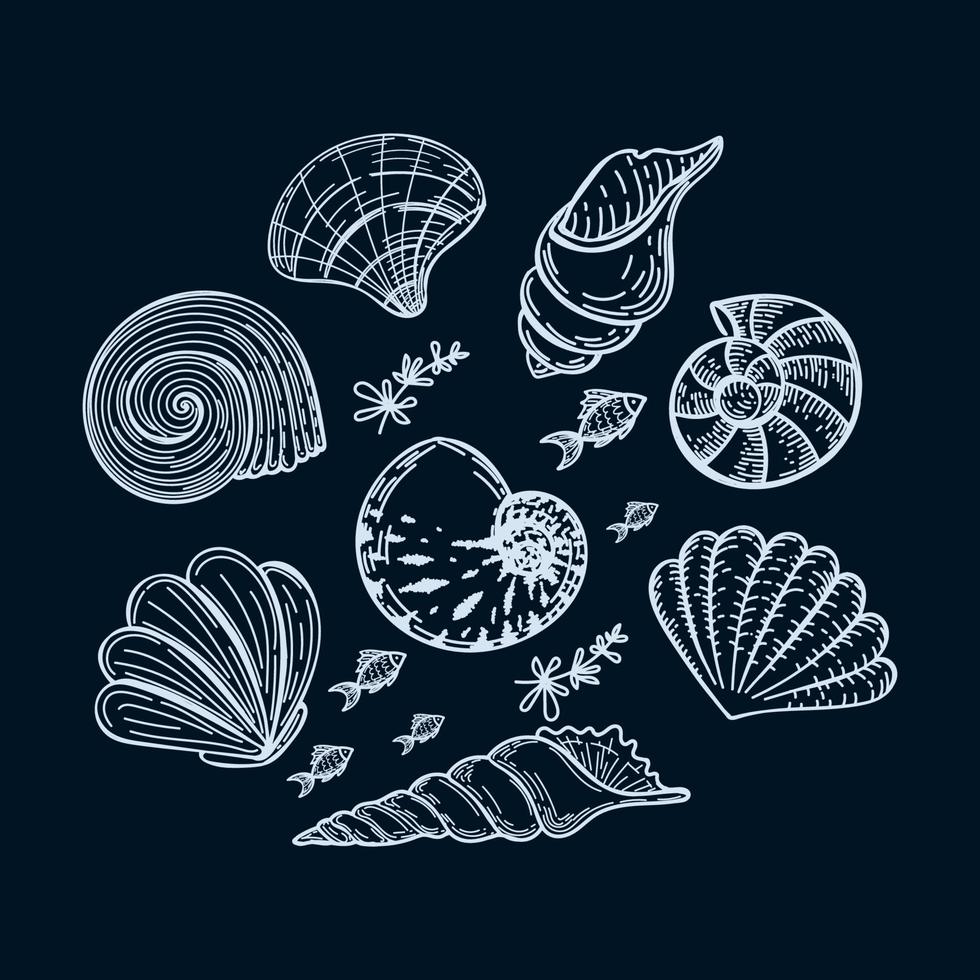 conjunto de criaturas marinas en círculo, dibujadas a mano en estilo boceto. marco circular con conchas marinas, algas y peces pequeños. tarjeta de felicitación de verano sobre fondo oscuro vector