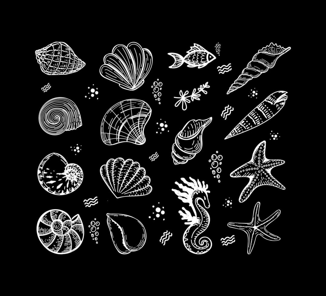 Set of sea creatures, hand-drawn in sketch style. Shells, seaweed, fish, starfish and seahorse. Sea animals. Sea. Ocean. Isolated vector on black background