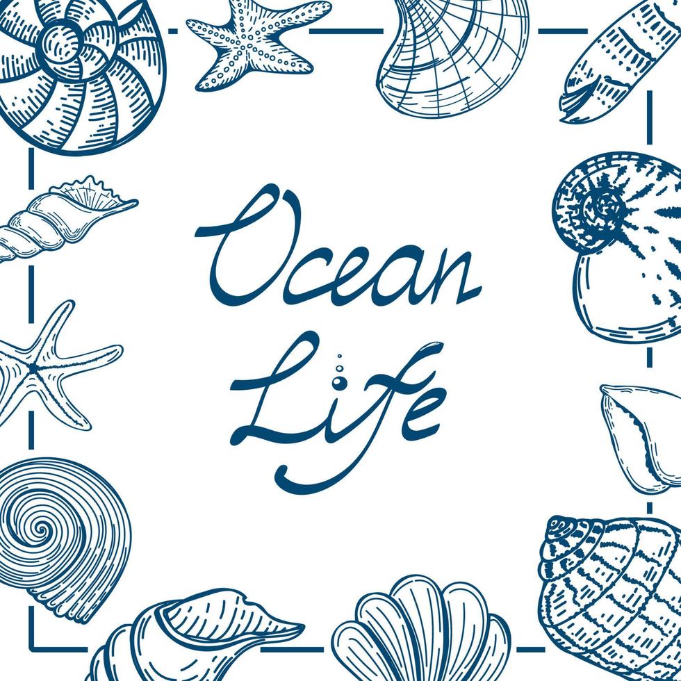 A banner template in a nautical style. Hand-drawn seashells and starfish in sketch style. Life of the ocean. Handwritten lettering. A template for a nautical-themed advertisement or flyer. A greeting. vector