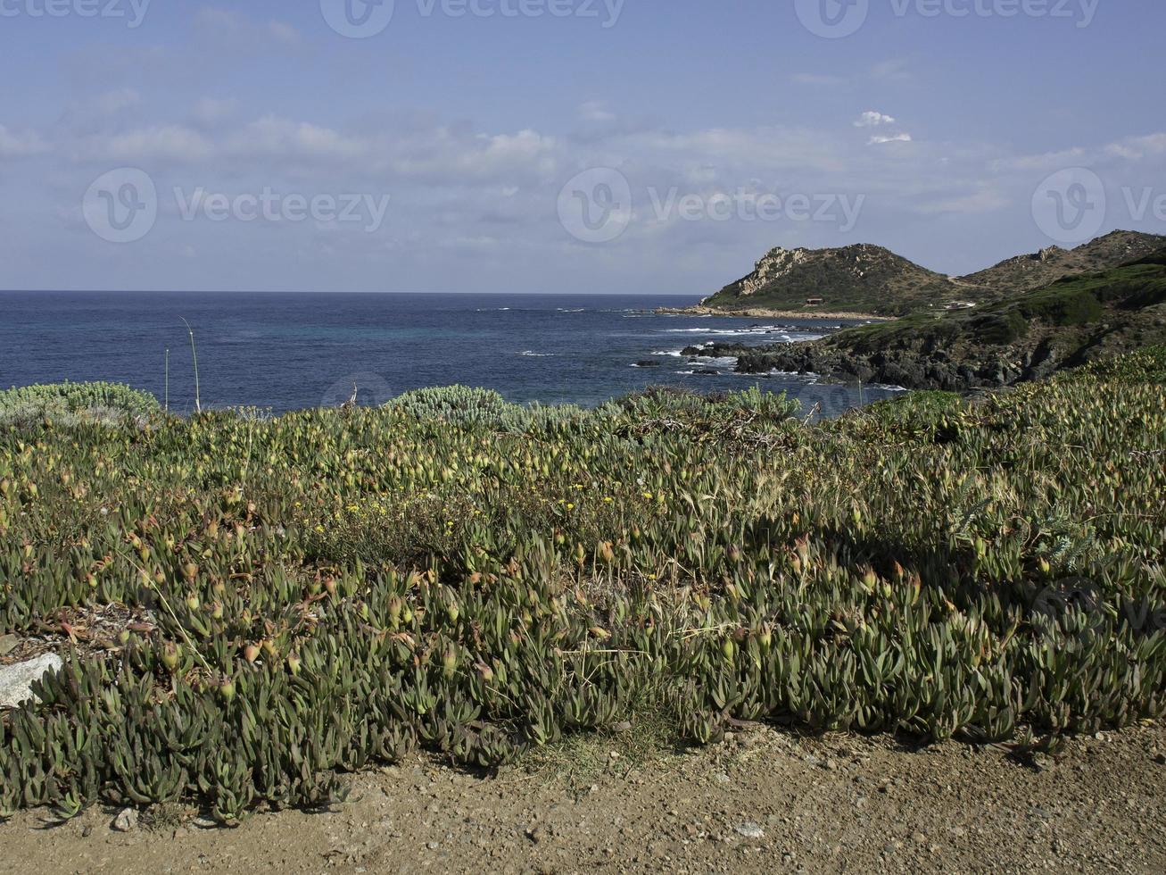 corsica island in the mediterranean sea photo