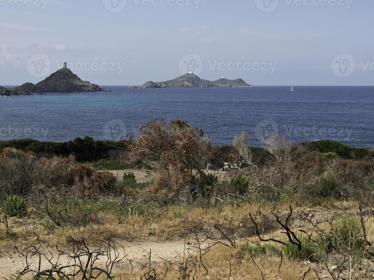 the island corsica photo