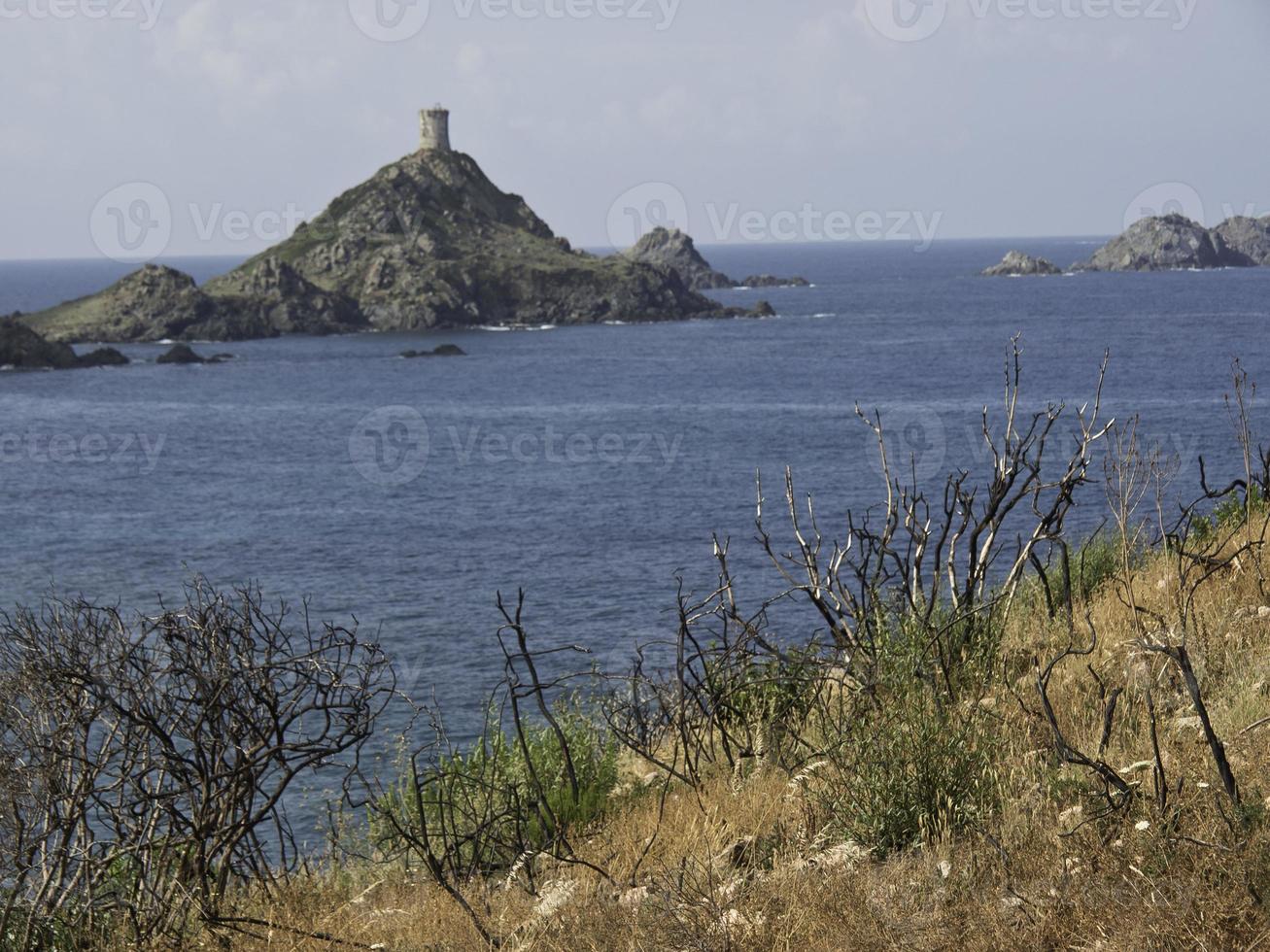 the island corsica photo