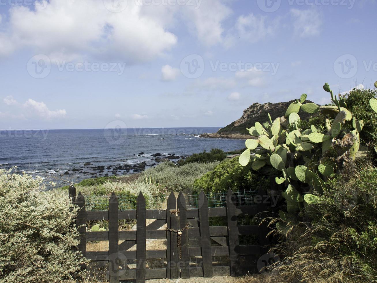 the island corsica photo