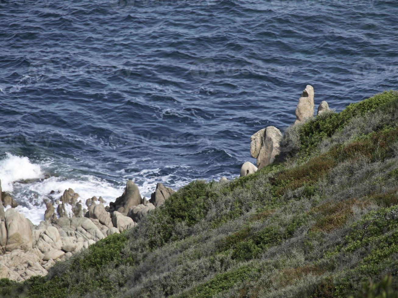 the island corsica photo
