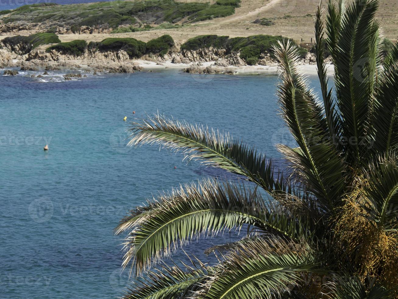 the island corsica photo