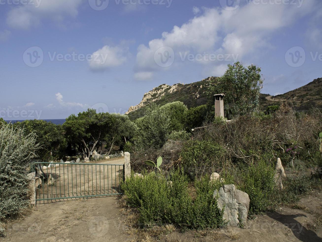 the island corsica photo