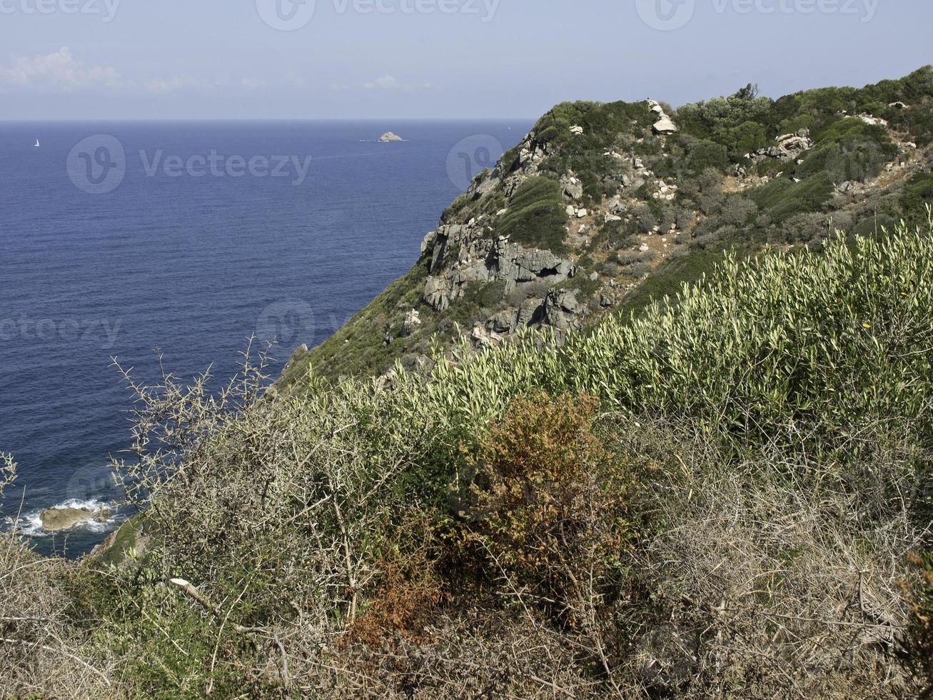 the island corsica photo