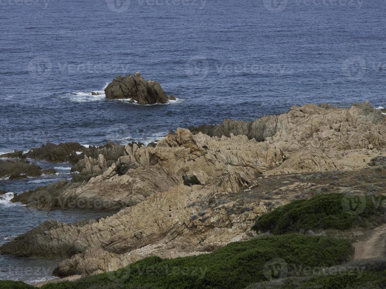 the island corsica photo