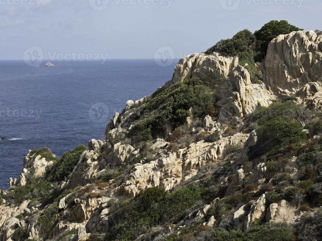 the island corsica photo