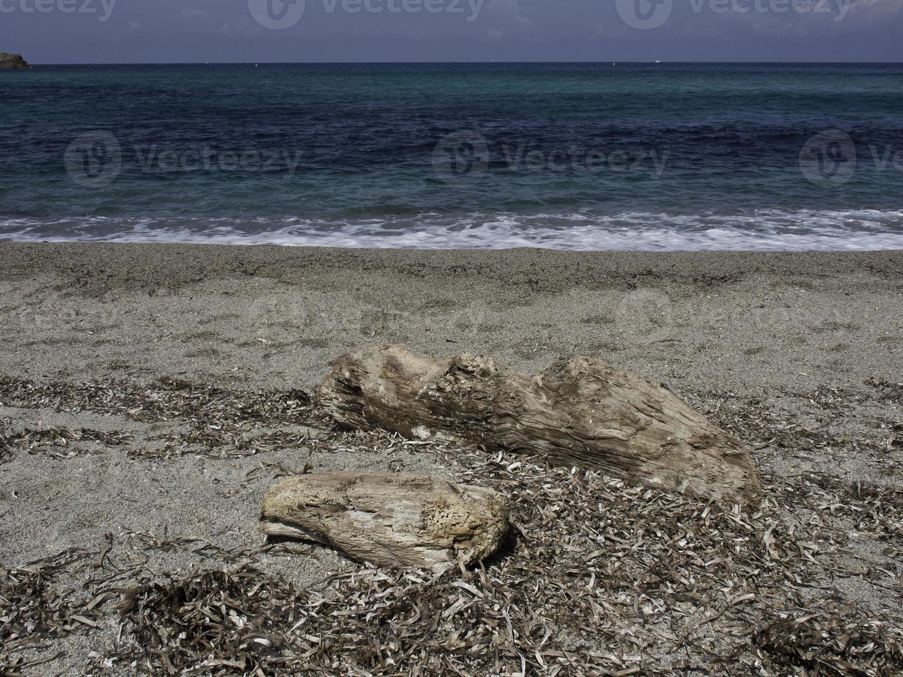 la isla de córcega foto