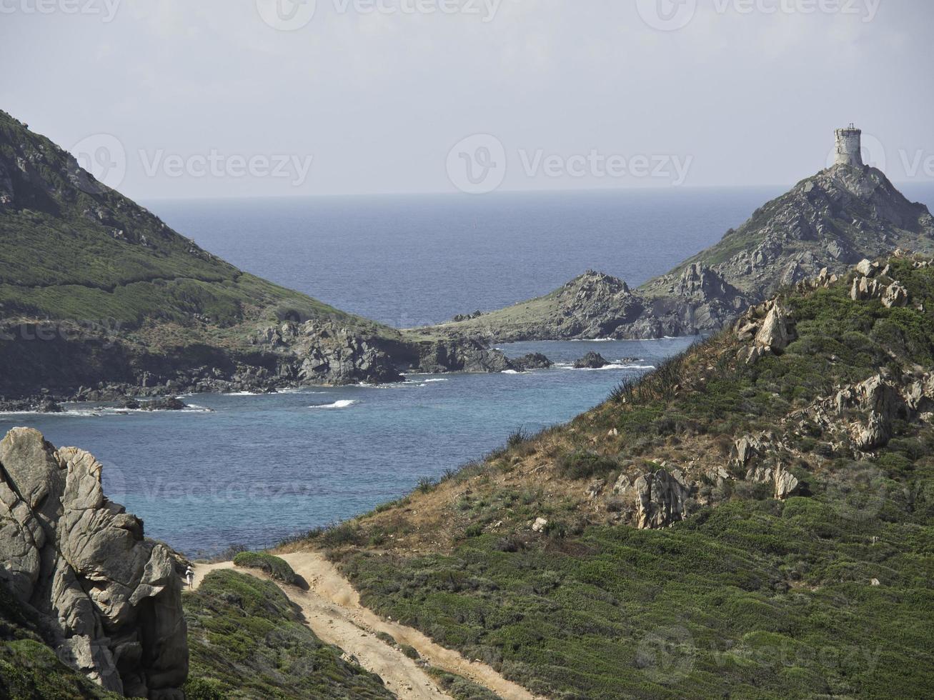 the island corsica photo