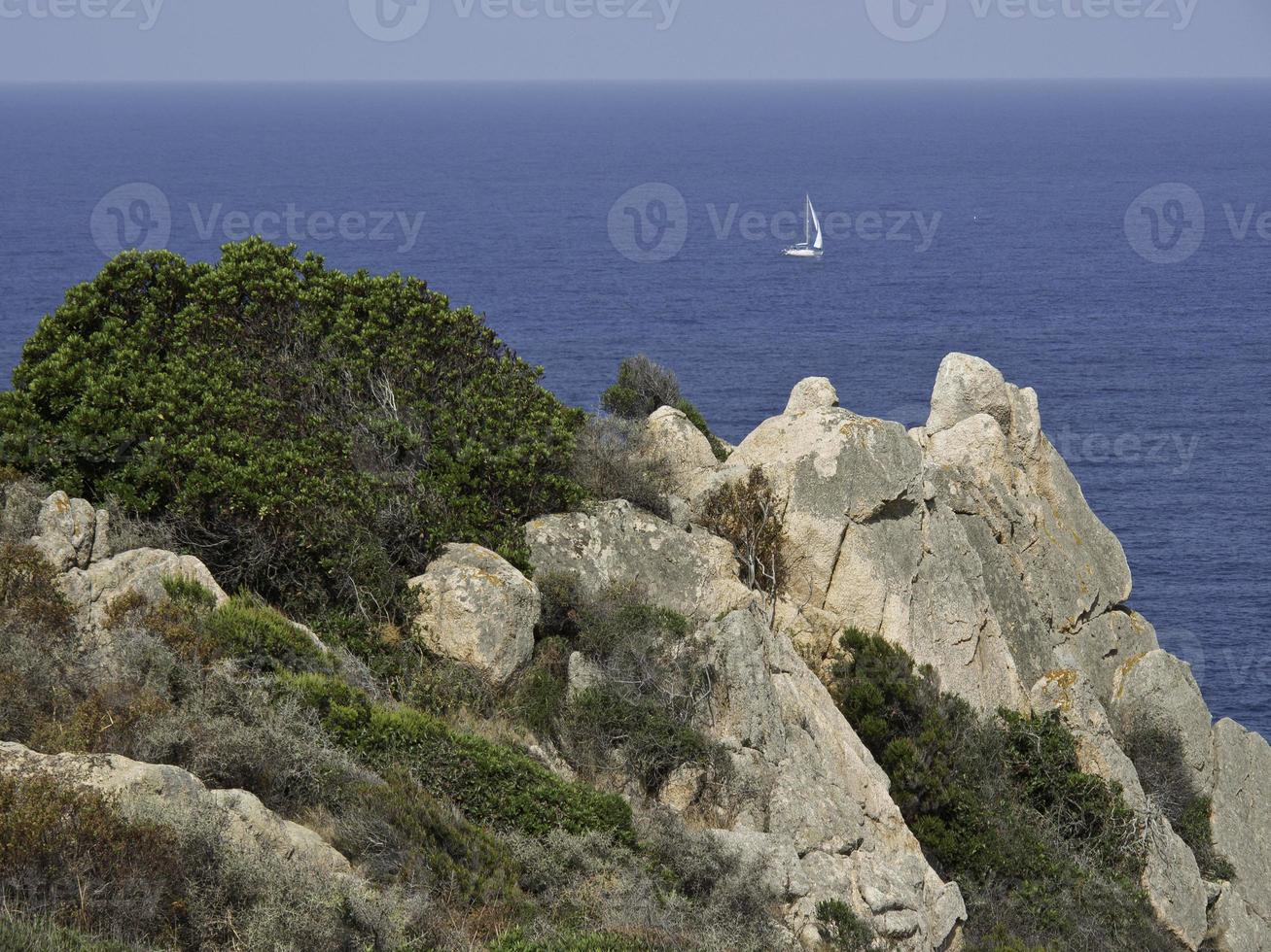 the island corsica photo