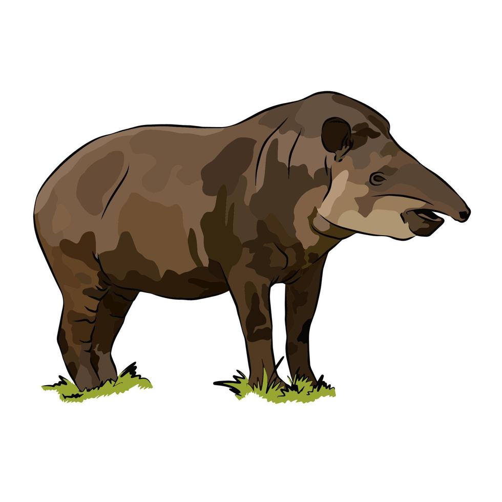 la pintura del tapir de montaña es muy hermosa. vector