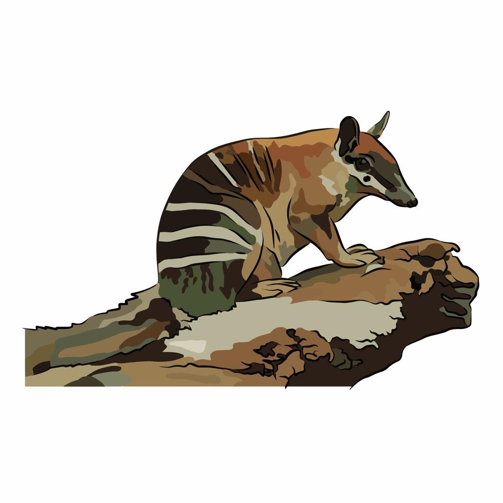 la pintura del hábitat numbat es muy hermosa. vector