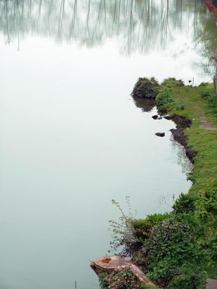 Beautiful scene Water reflect Lakeside in the green park of Brugge Belgium photo