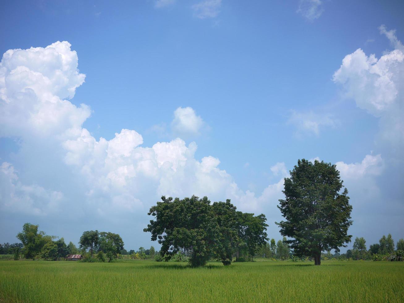 Wallpaper of green landscape and blue sky bright vibrant colors photo