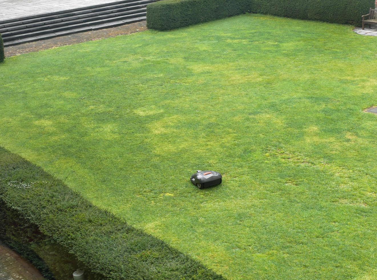 vista de ángulo alto de una cortadora de césped robot que trabaja en el jardín del patio trasero foto