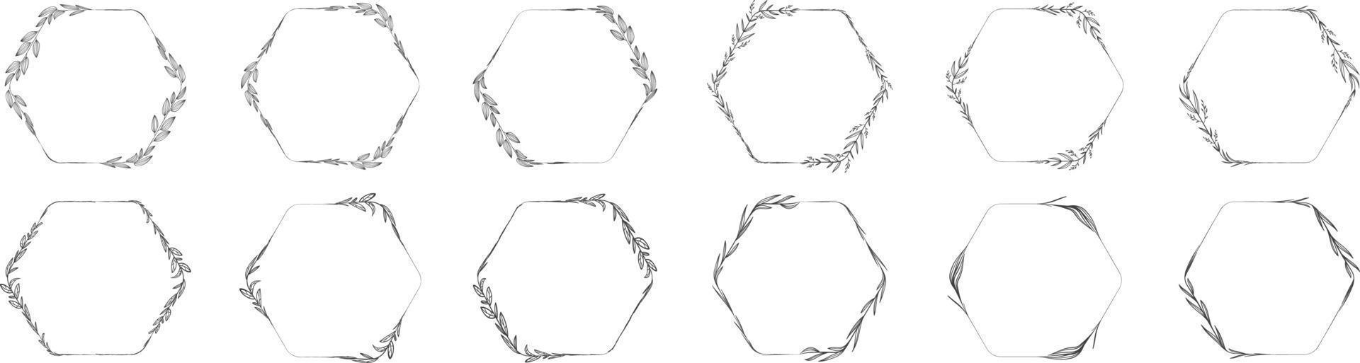 Hexagon frame leaf wreath vector