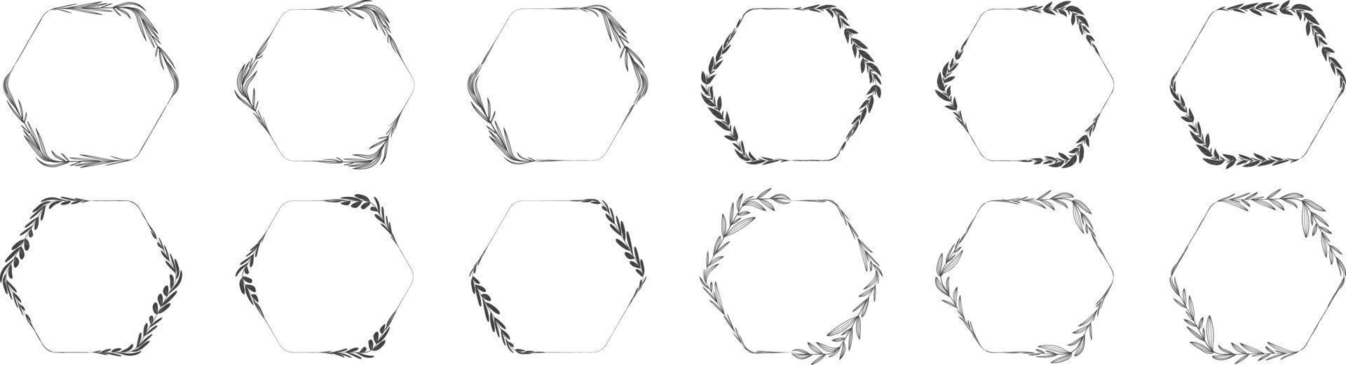 corona de hojas de marco hexagonal vector