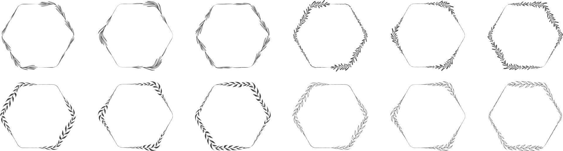 Hexagon frame leaf wreath vector