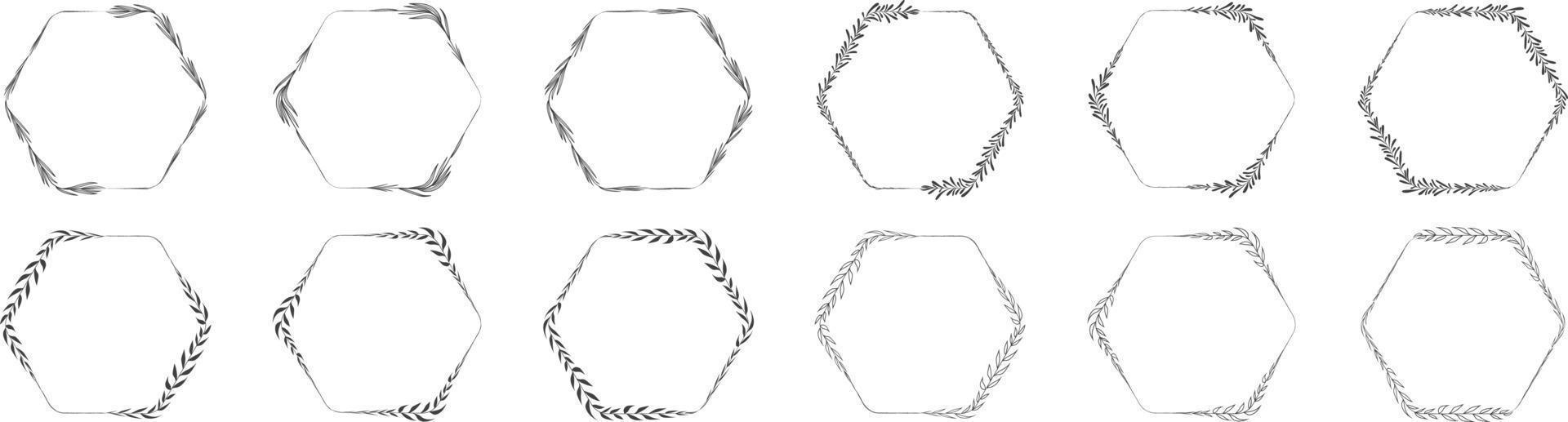 Hexagon frame leaf wreath vector